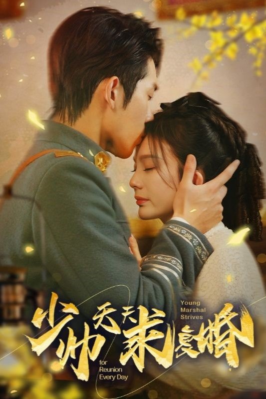 Poster de 少帅天天求复婚