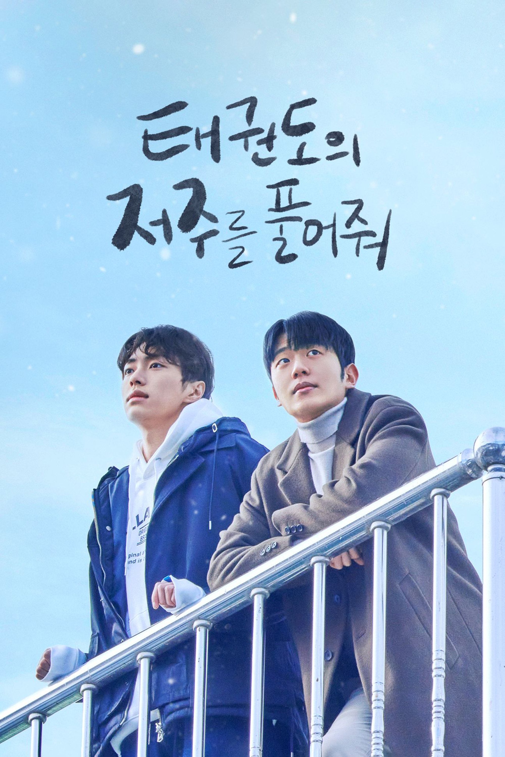 Poster de 태권도의 저주를 풀어줘