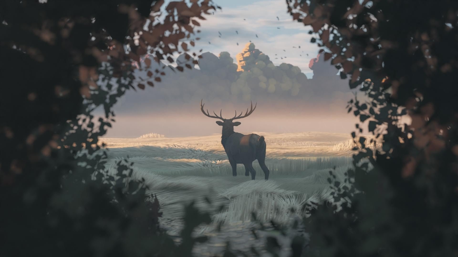 Backdrop image