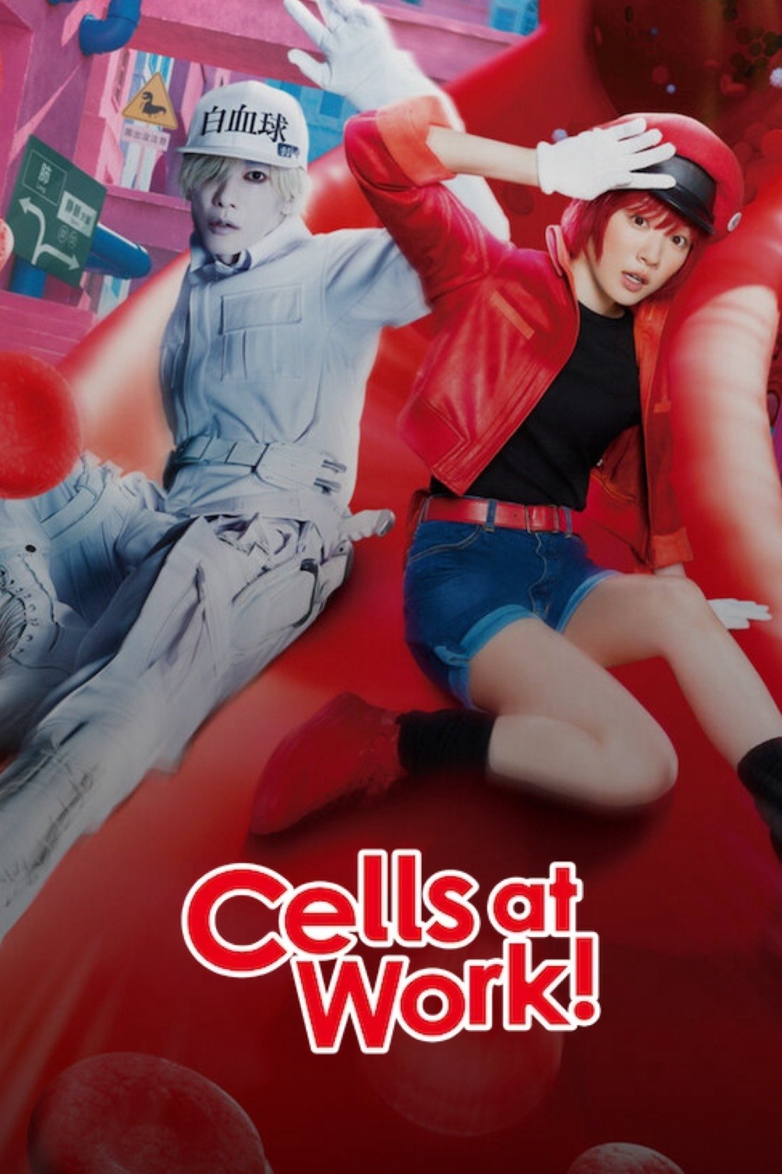 Poster de Cells at Work!