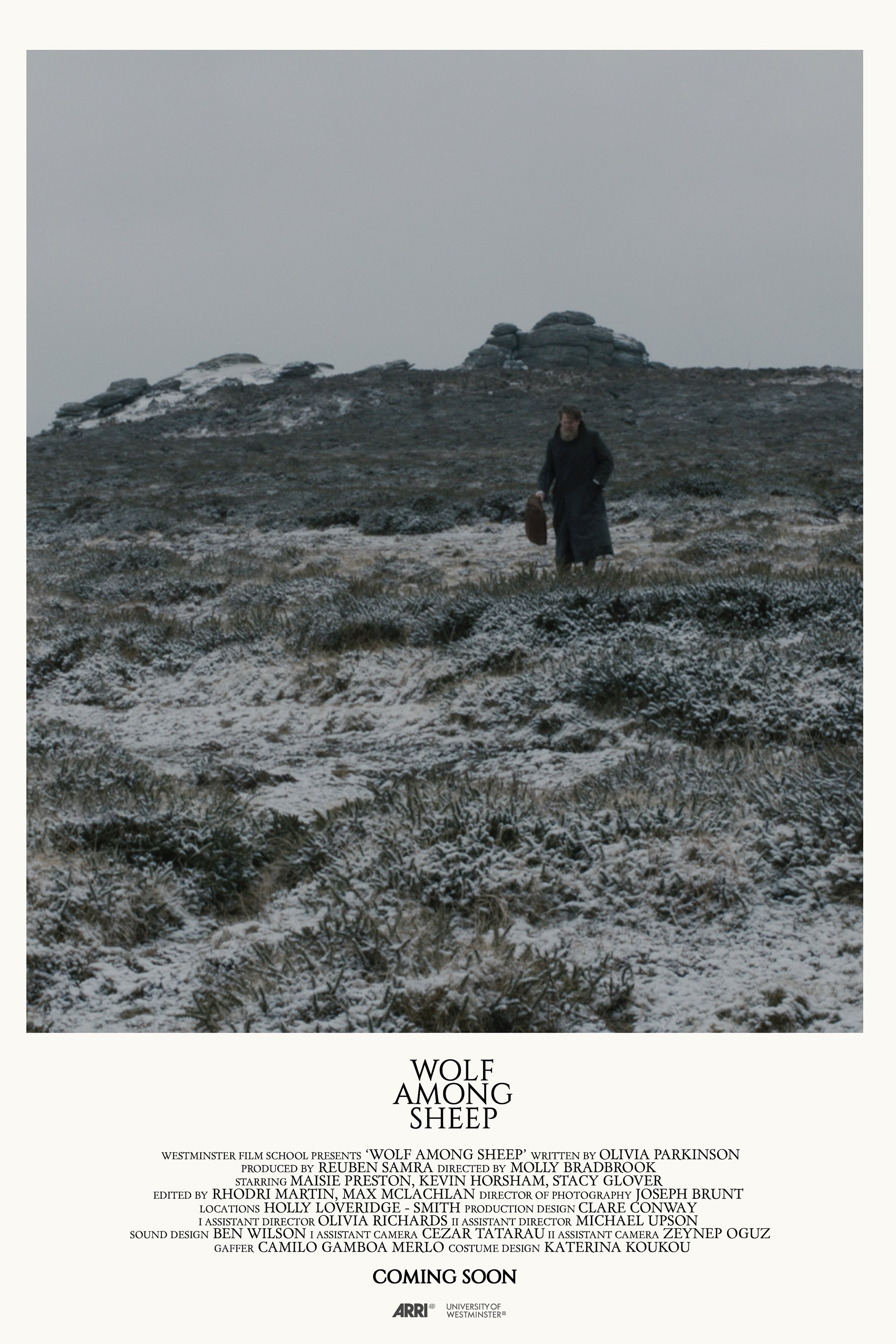 Poster de Wolf Among Sheep