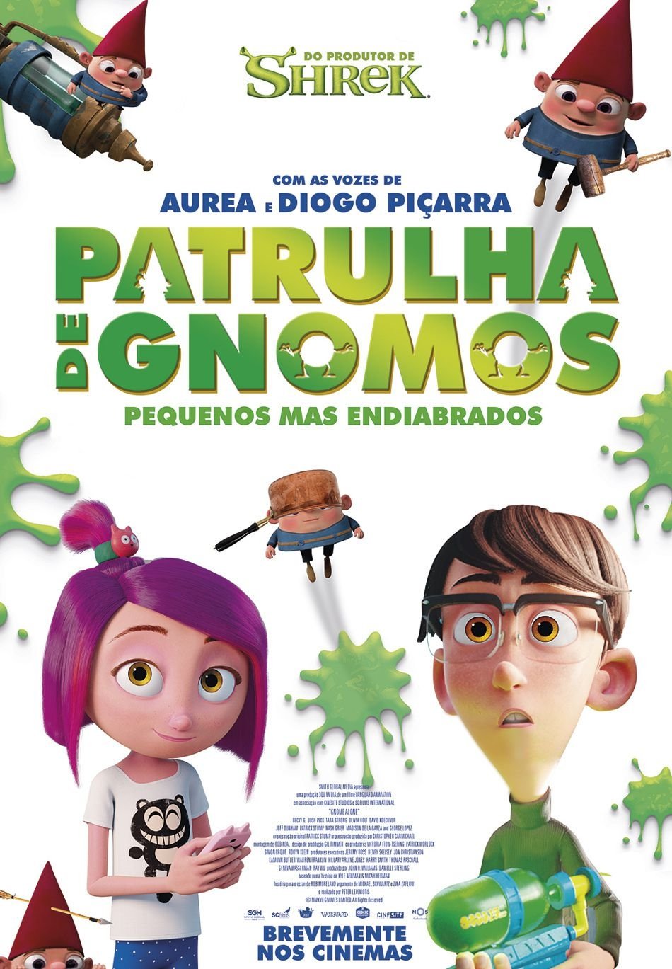 Poster de Duda e os Gnomos