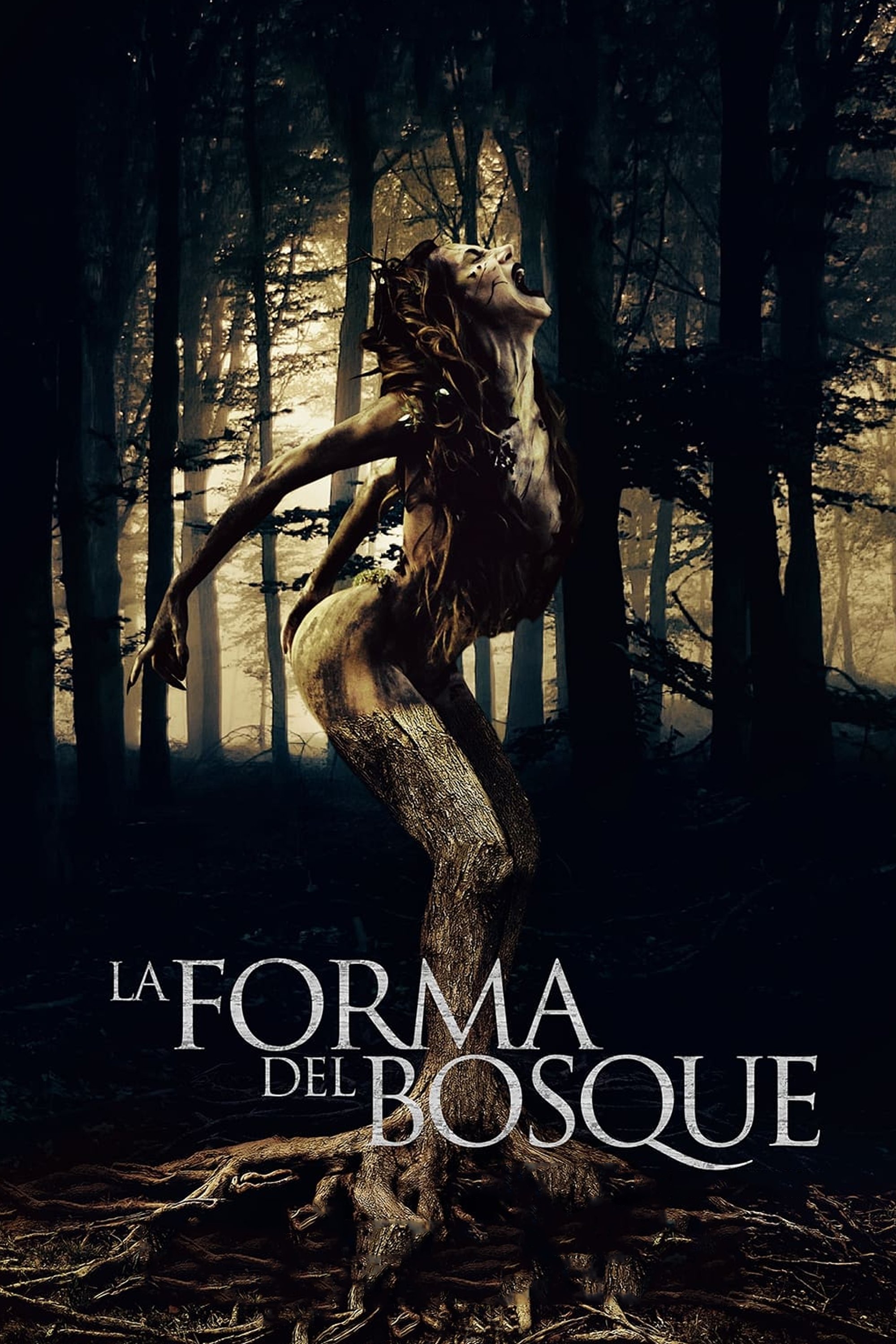 Poster de La forma del bosque