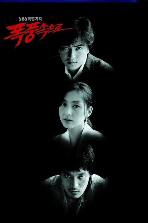 Poster de 폭풍 속으로