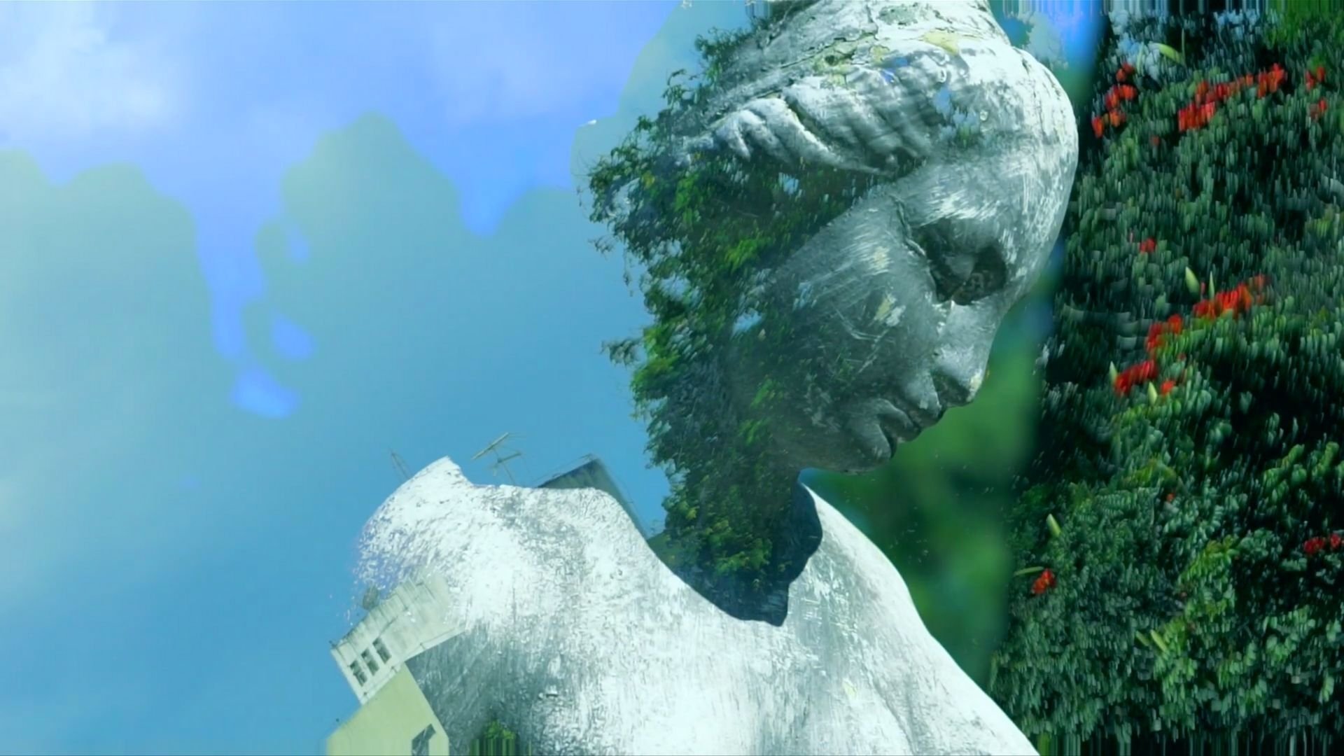 Backdrop image