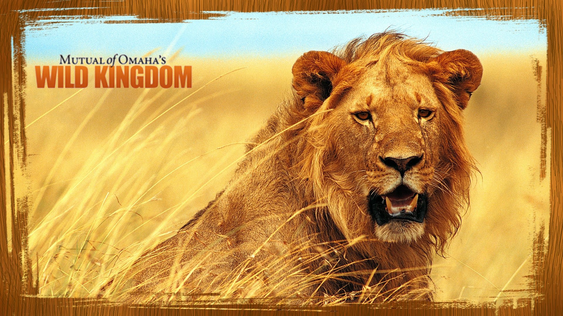 Backdrop image