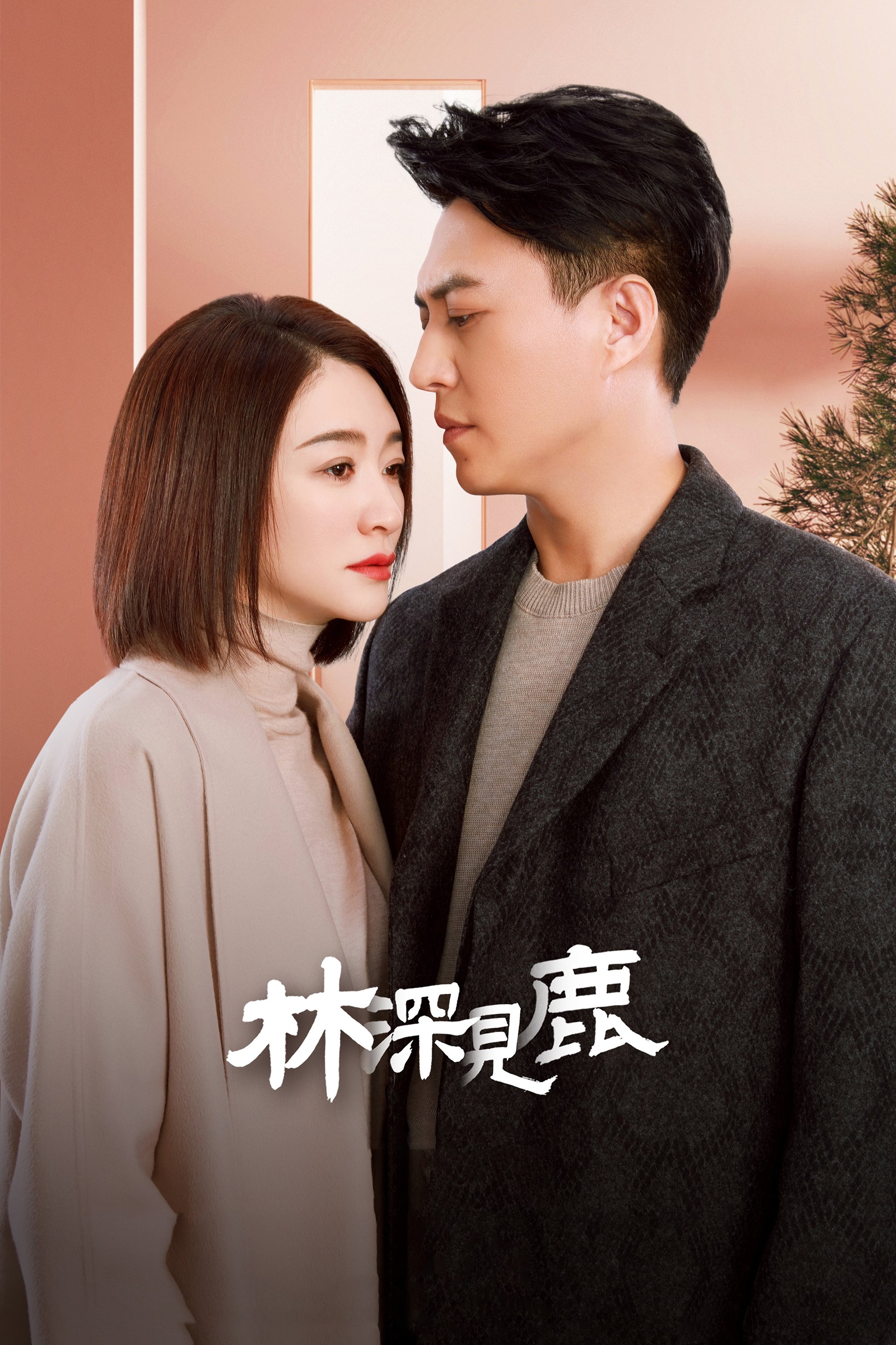 Poster de 林深见鹿