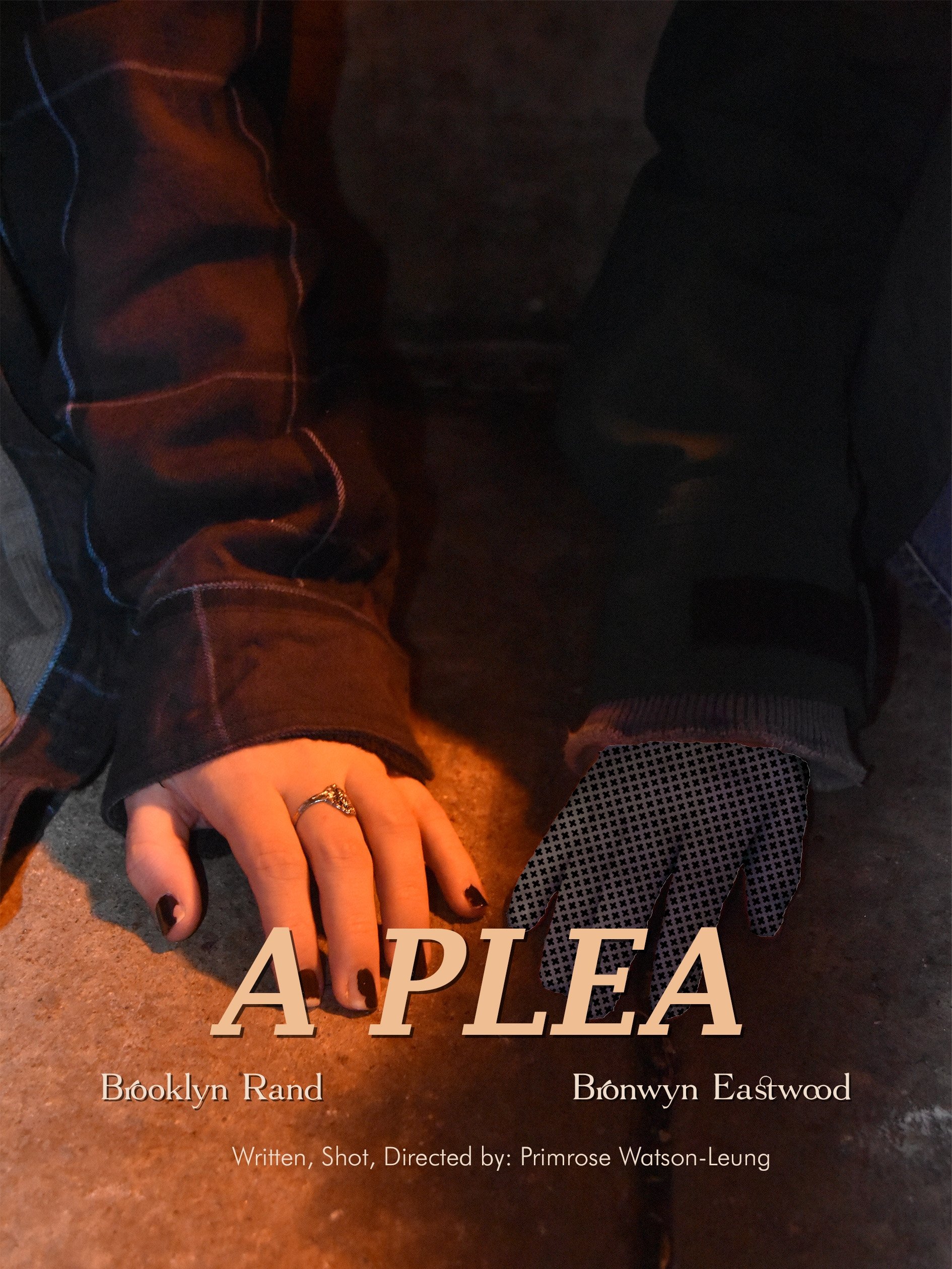 Poster de A Plea