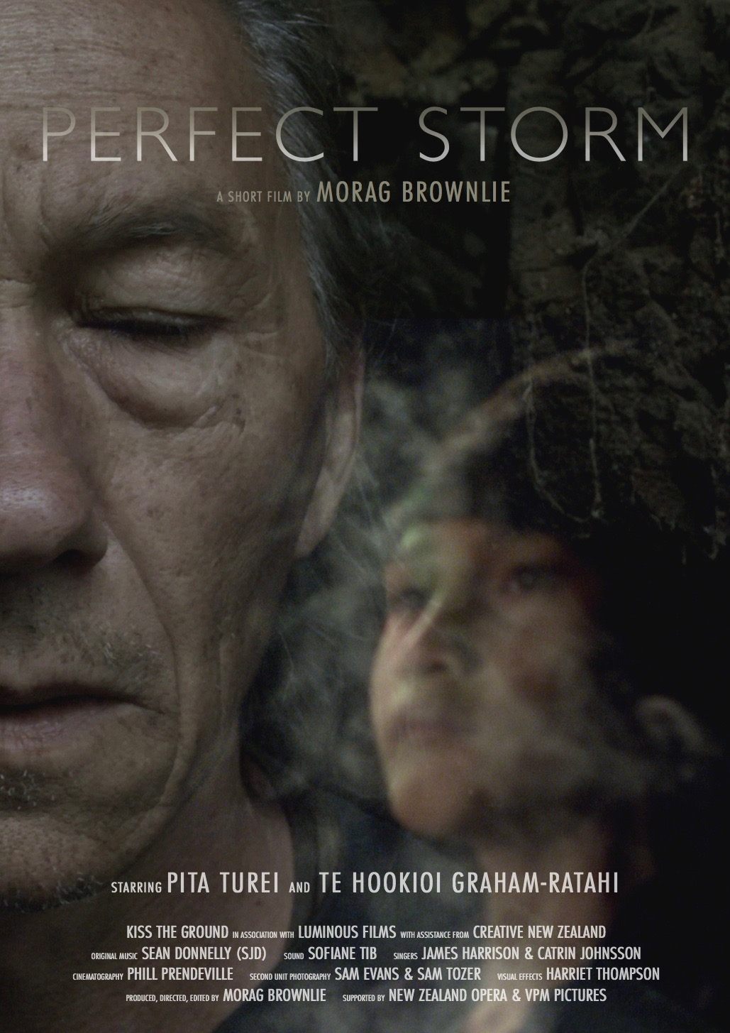 Poster de Perfect Storm