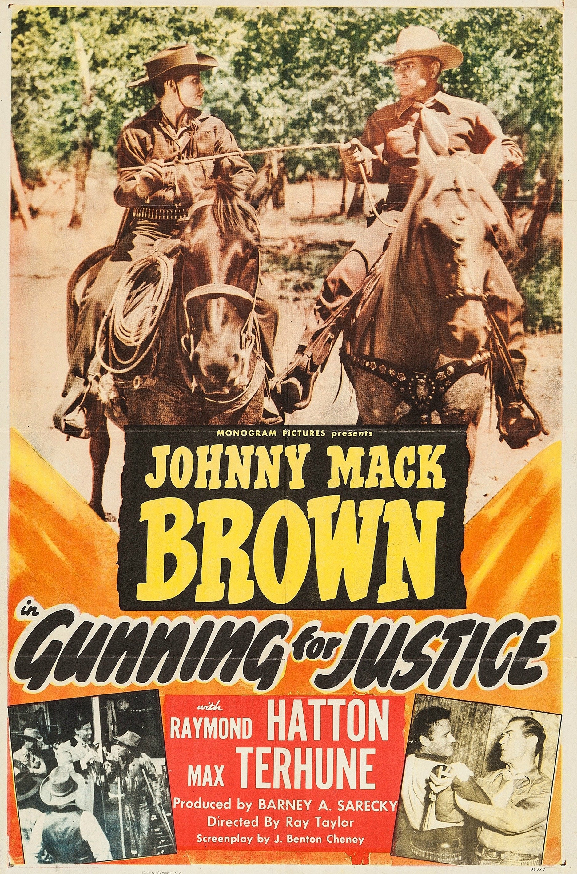Poster de Gunning for Justice