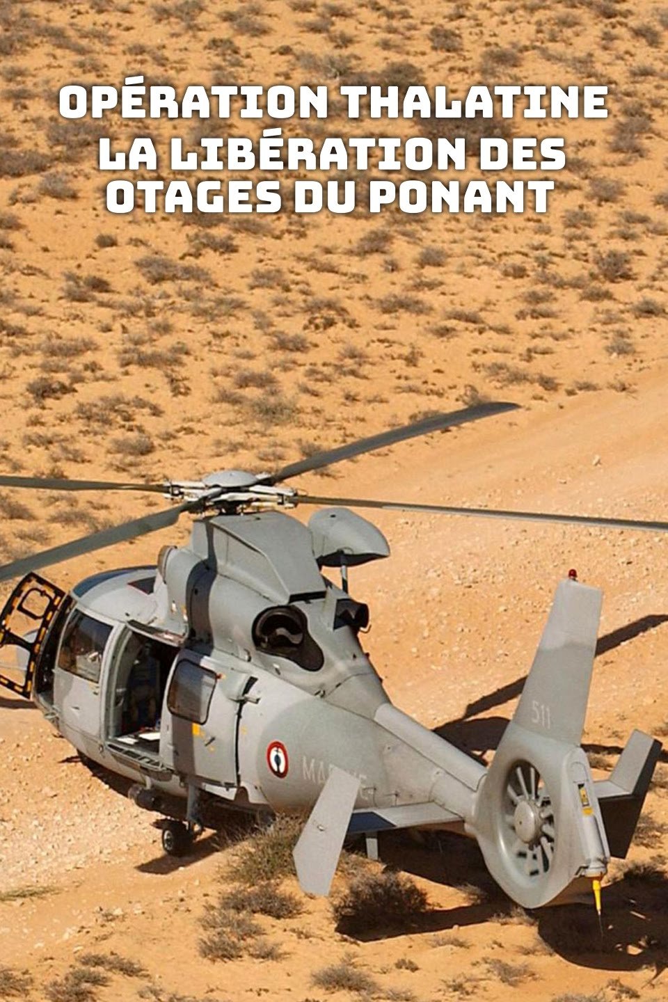 Poster de Opération Thalatine : La libération des otages du Ponant