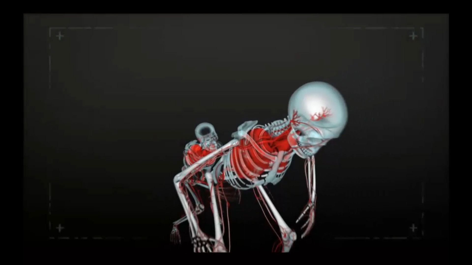 Wait, Don't Tell Me – You’re Dead!