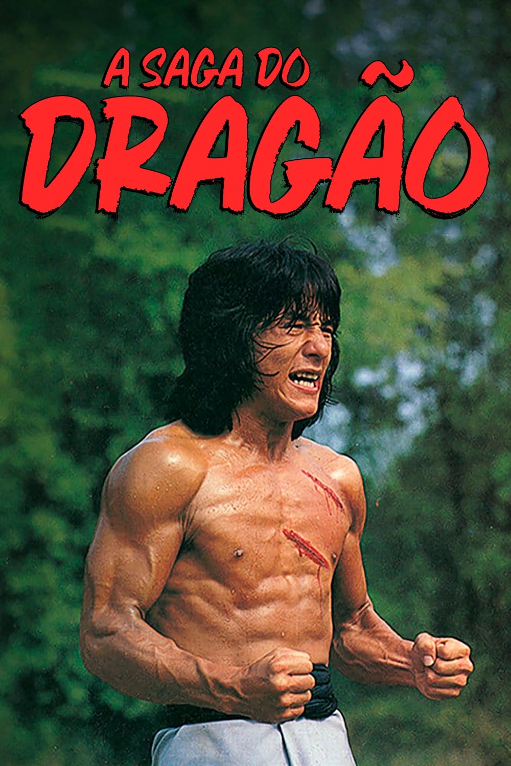 Poster de A Saga do Dragão