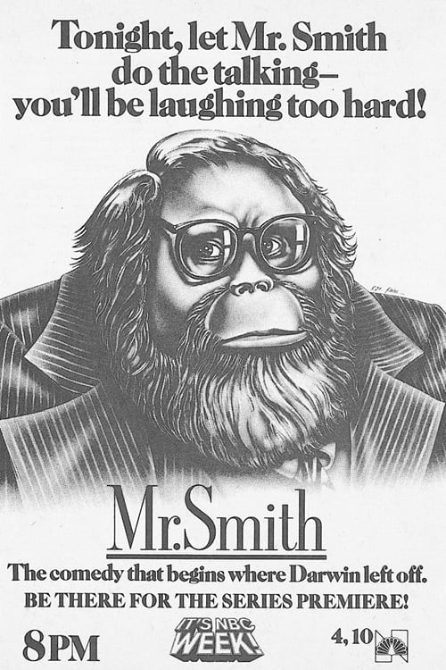 Poster de Mr. Smith
