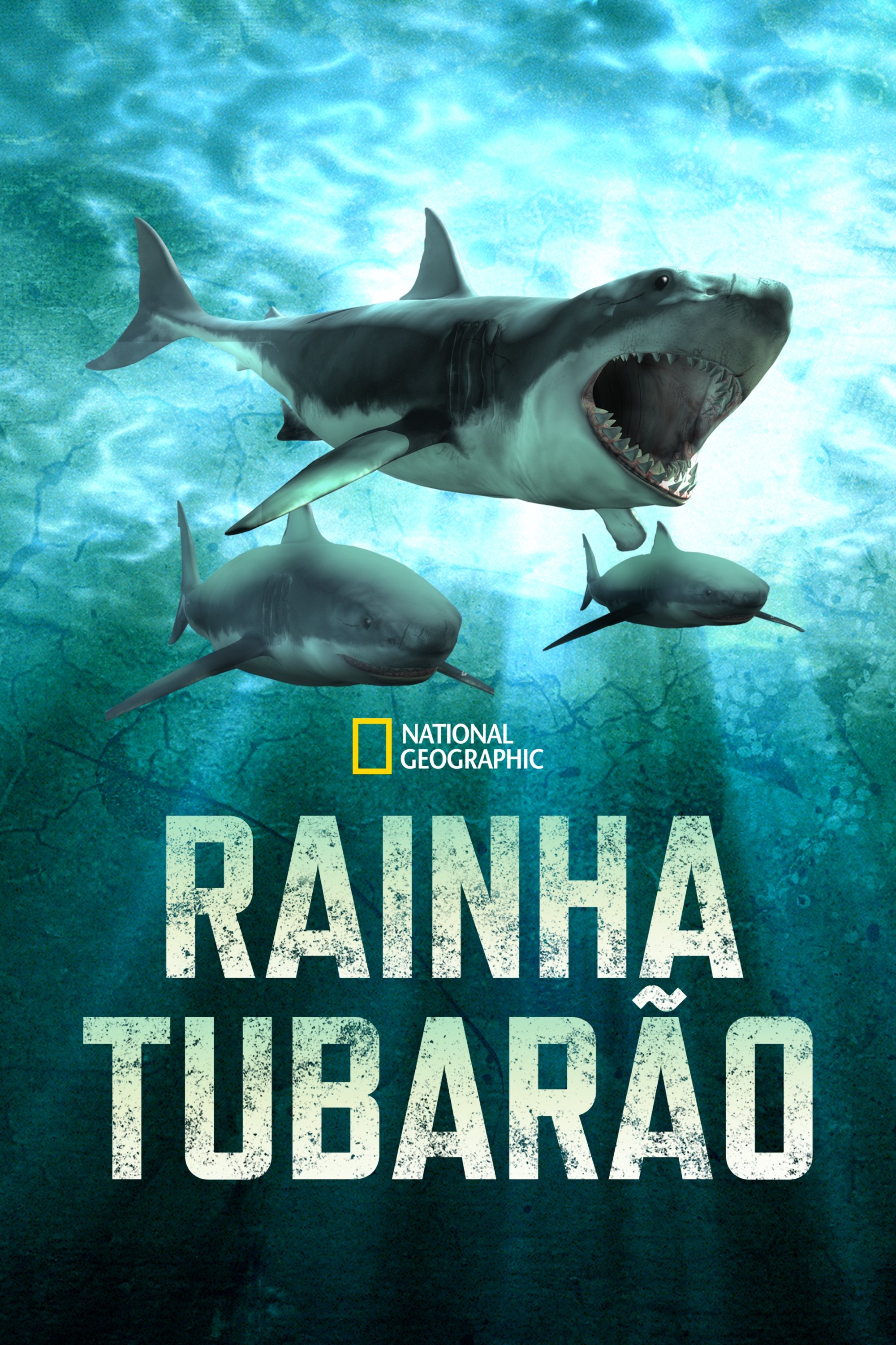 Poster de Rainha Tubarão