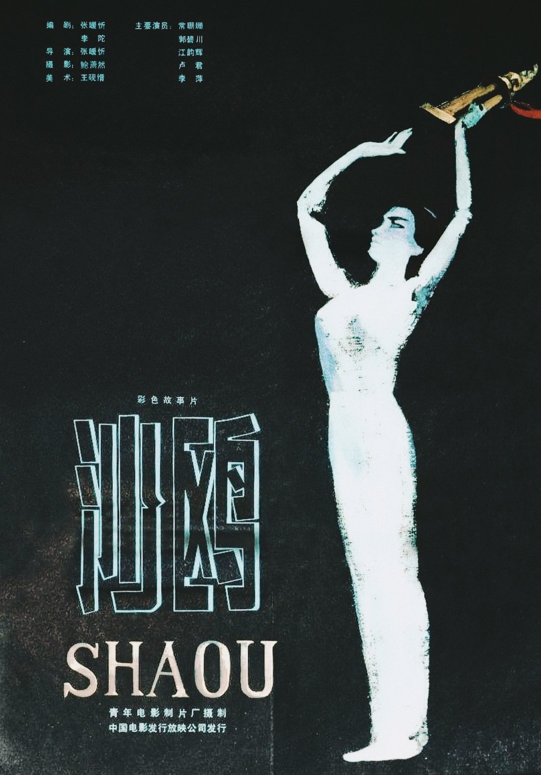Poster de Desejo de Vencer