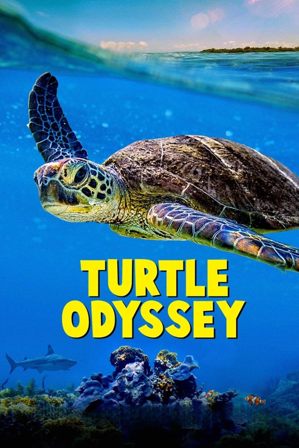 Poster movie
