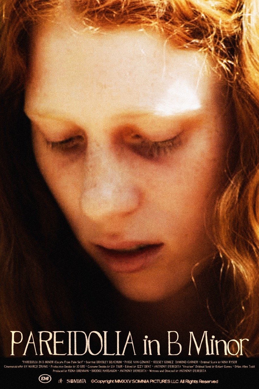 Poster de Pareidolia in B Minor