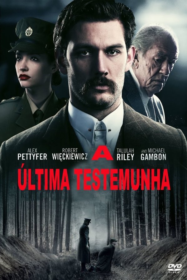 Poster de A Última Testemunha