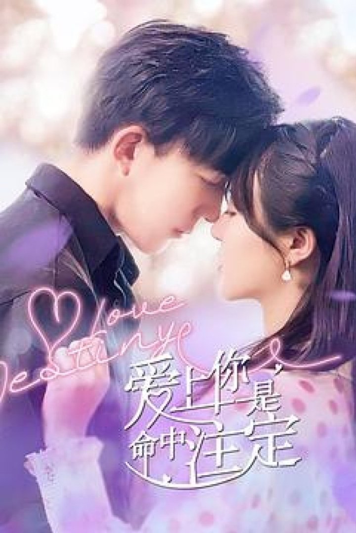 Poster de 爱上你是命中注定
