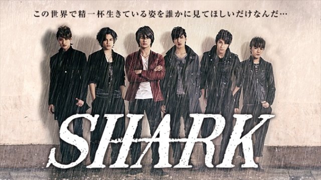 Shark