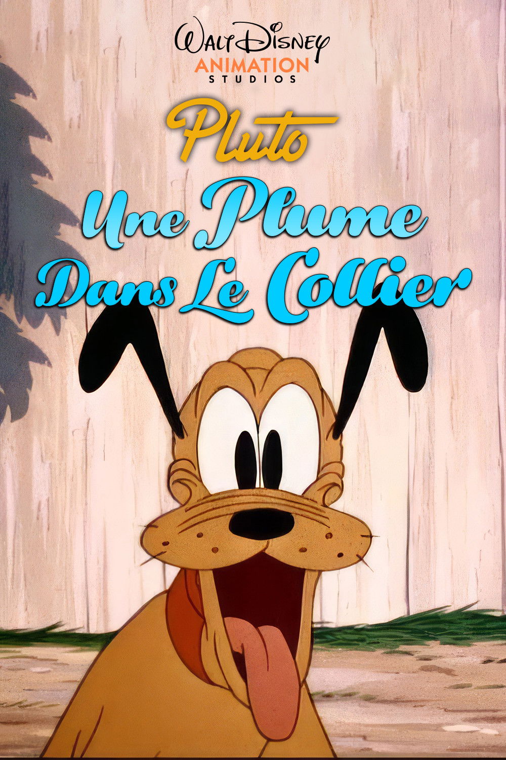 Une Plume Dans Le Collier