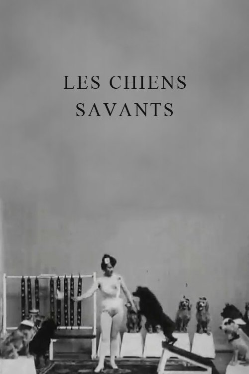 Poster de Miss Dundee et ses chiens savants