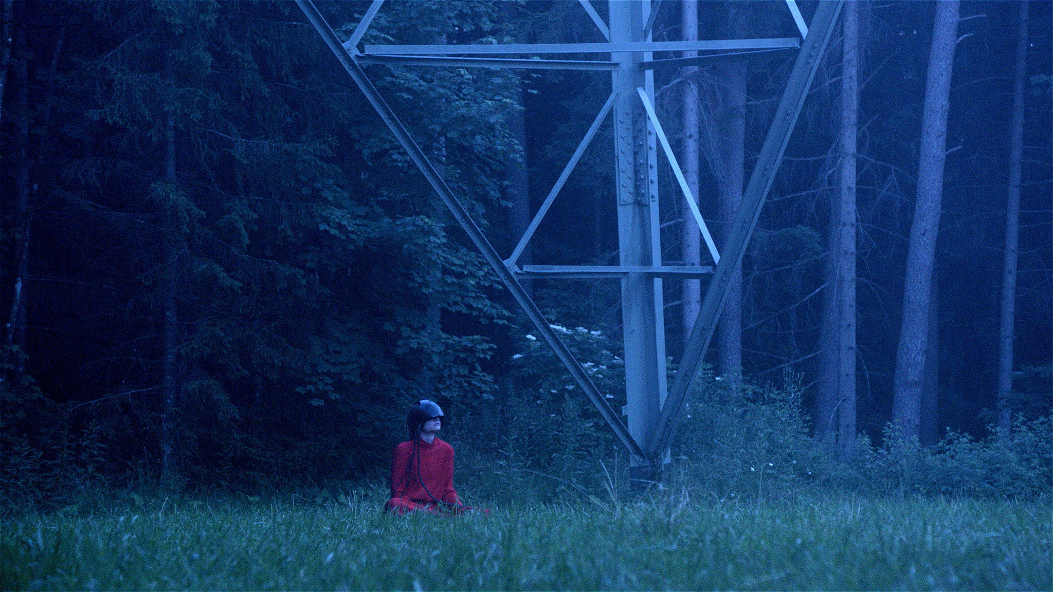 Director