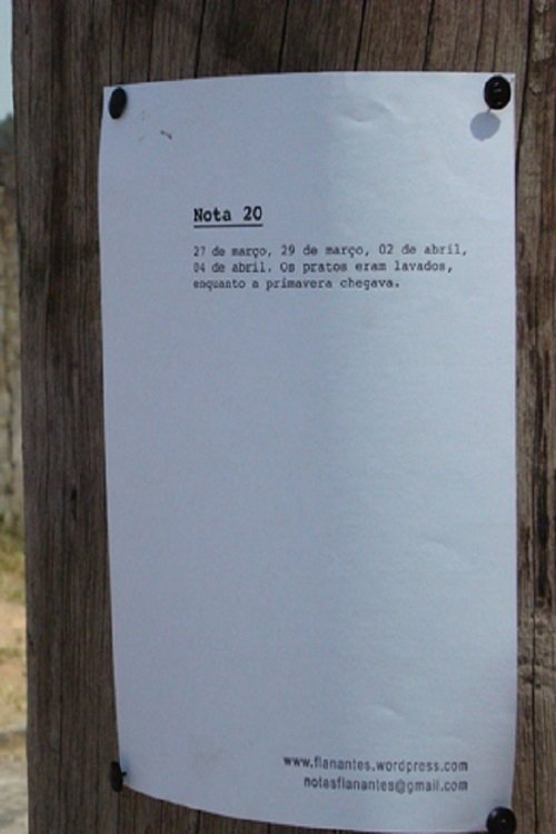 Poster de Notas Flanantes
