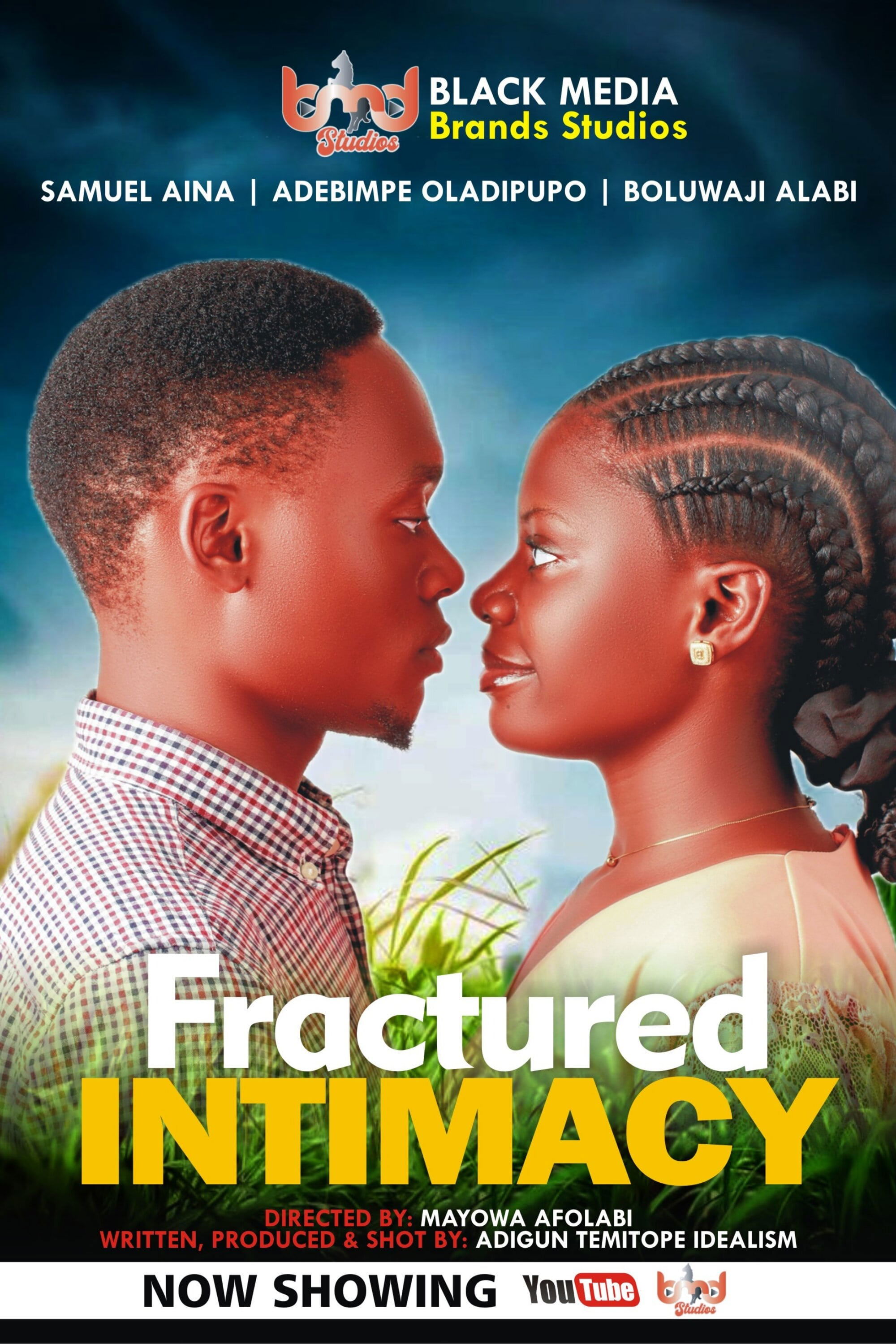 Poster de Fractured Intimacy