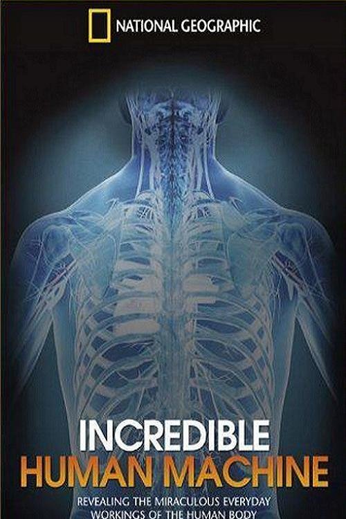 Poster de National Geographic: Incredible Human Machine