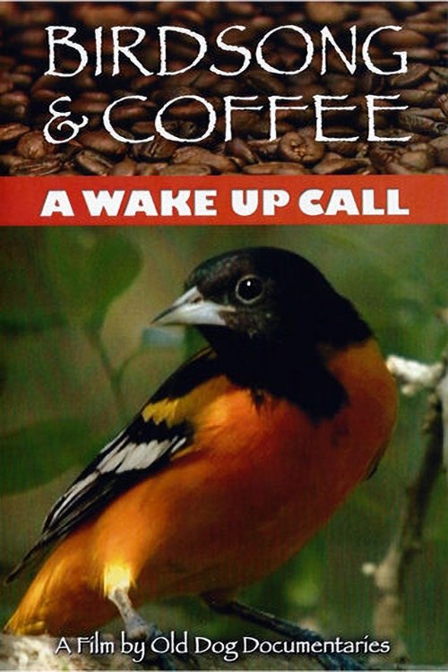 Poster de Birdsong and Coffee: A Wake-Up Call