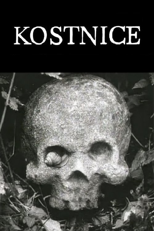 Poster de Kostnice