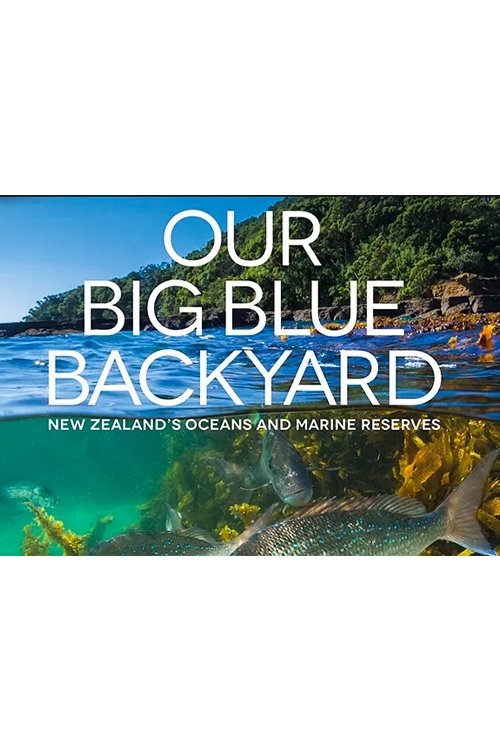 Poster de Our Big Blue Backyard