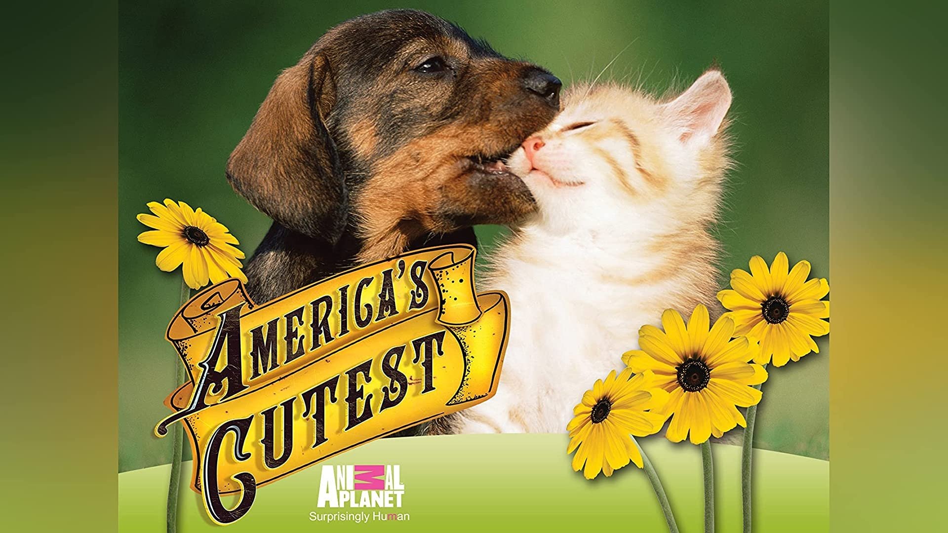 America's Cutest
