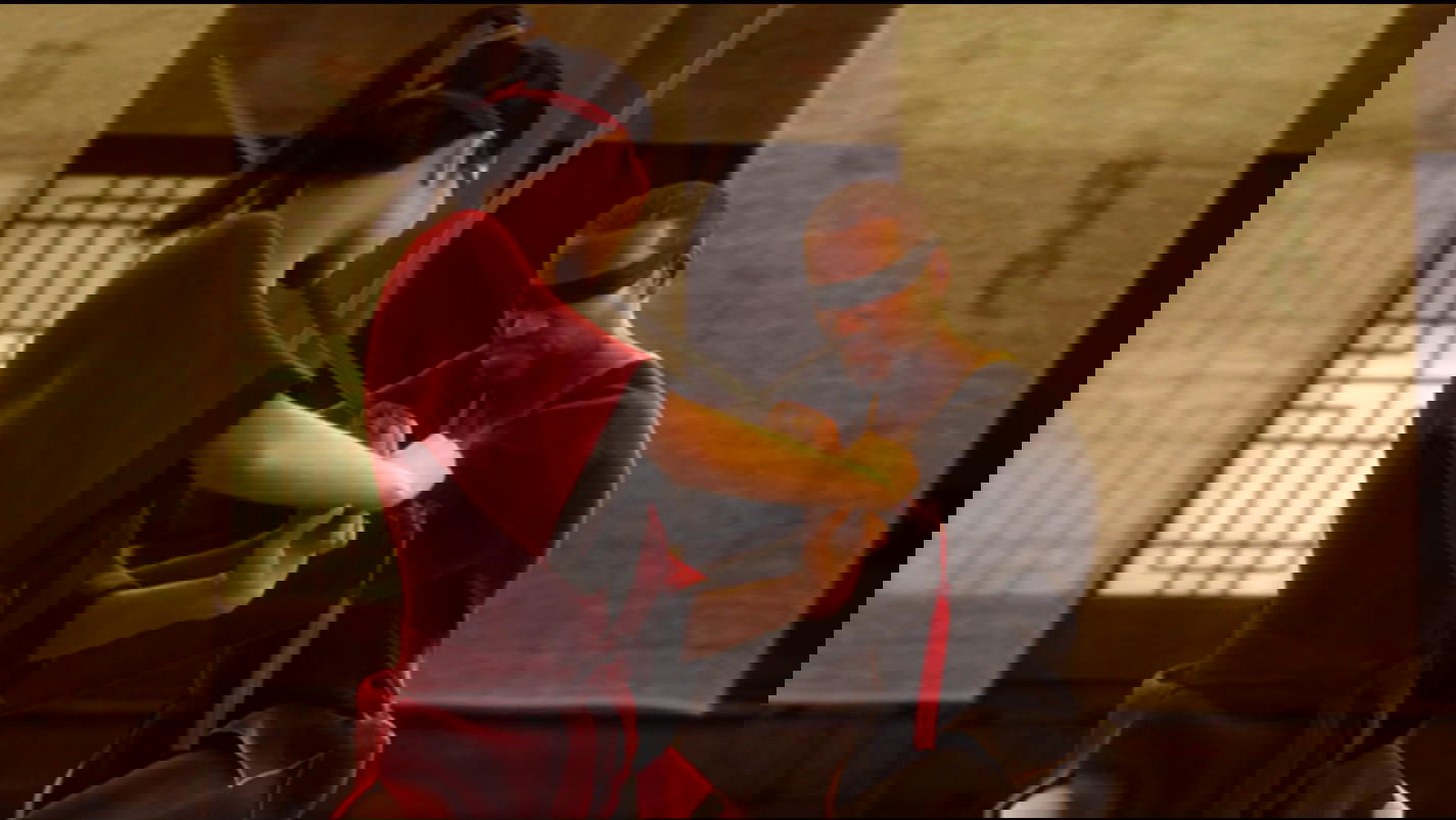 The Animatrix