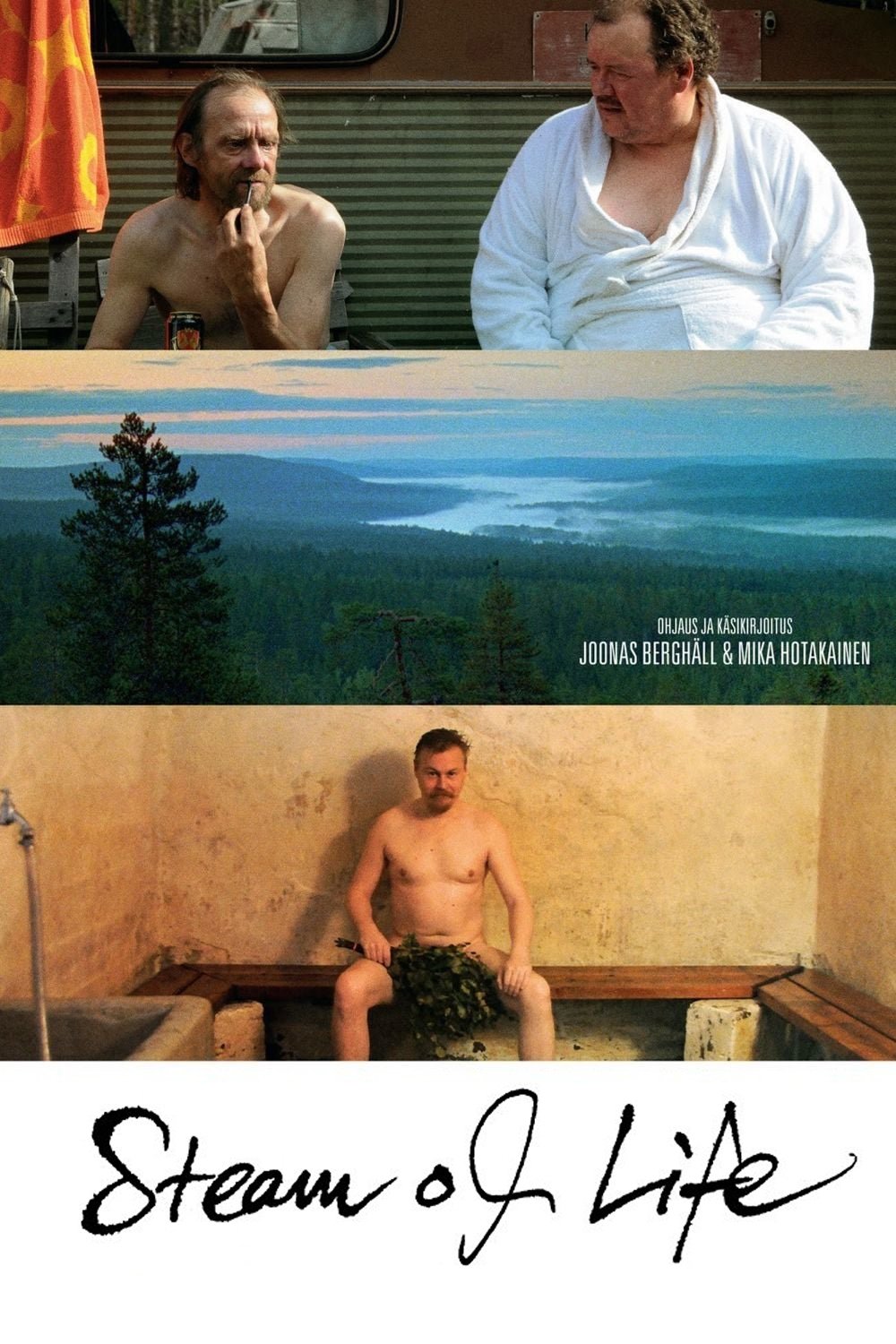 Poster de Miesten vuoro