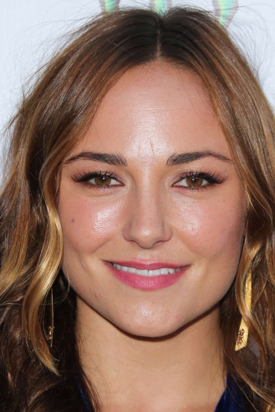 Foto de Briana Evigan