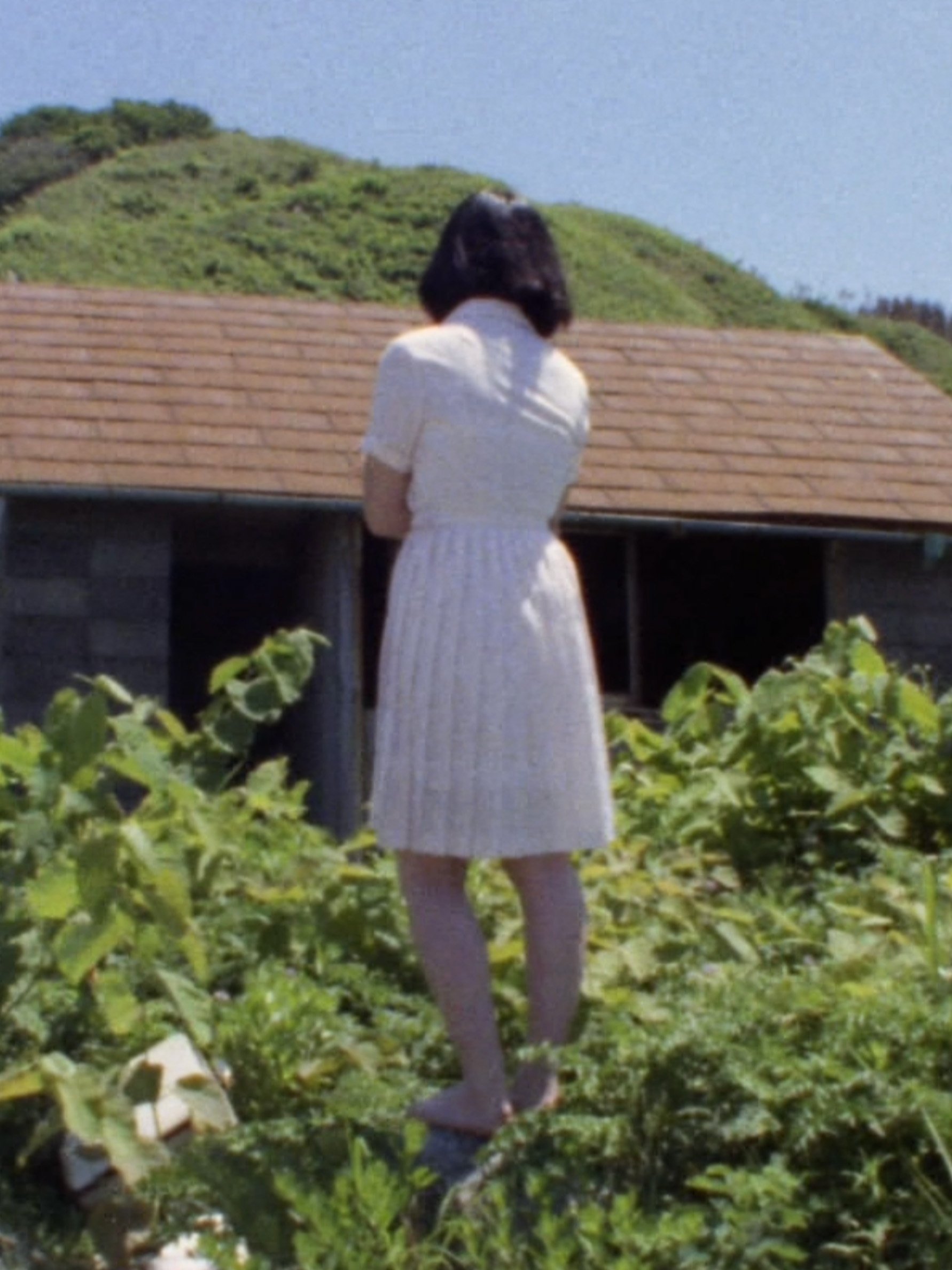 夢の島少女