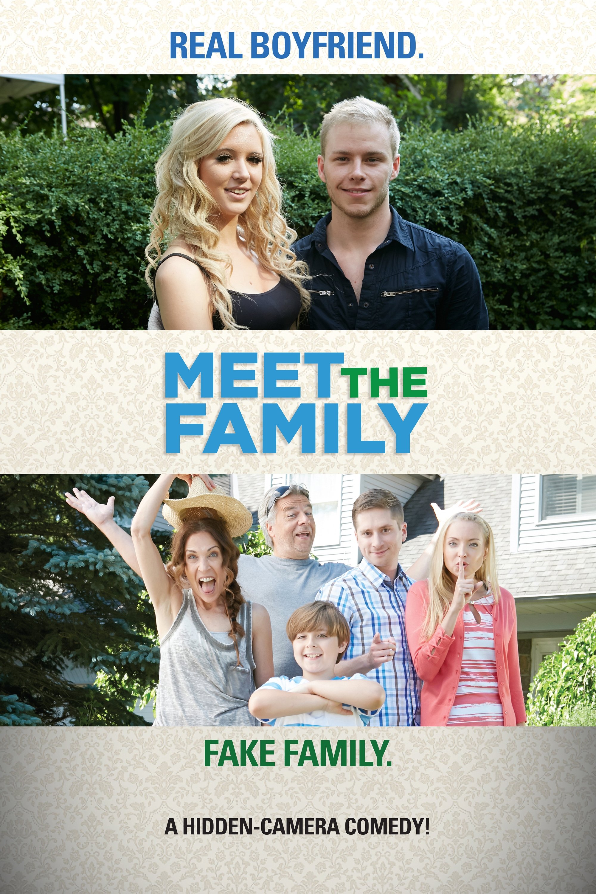 Poster de Meet the Family