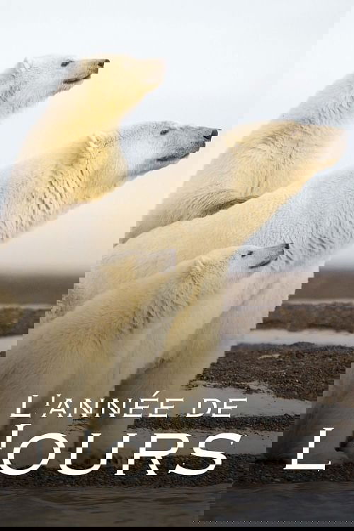 title