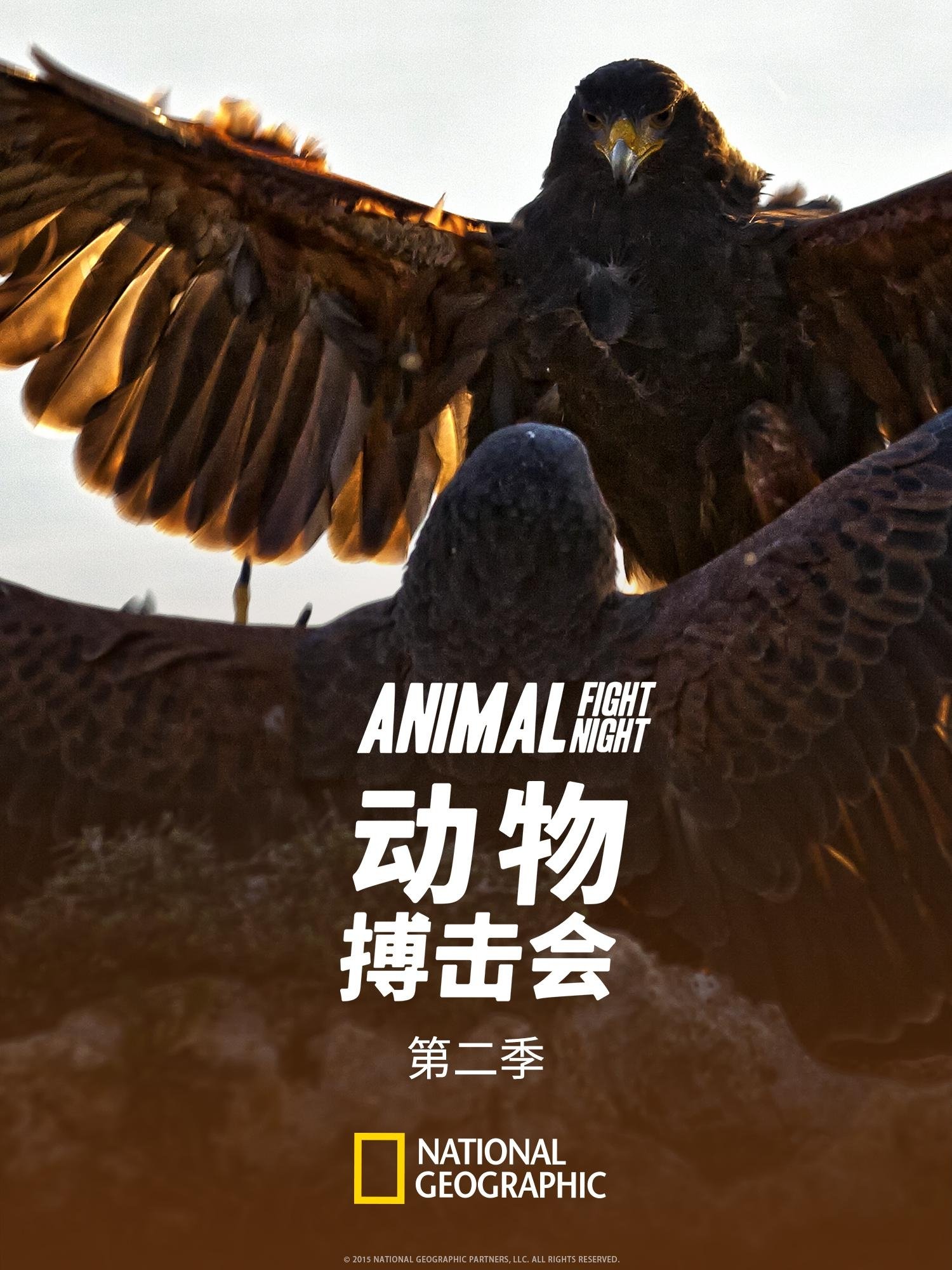 Poster de Temporada 2