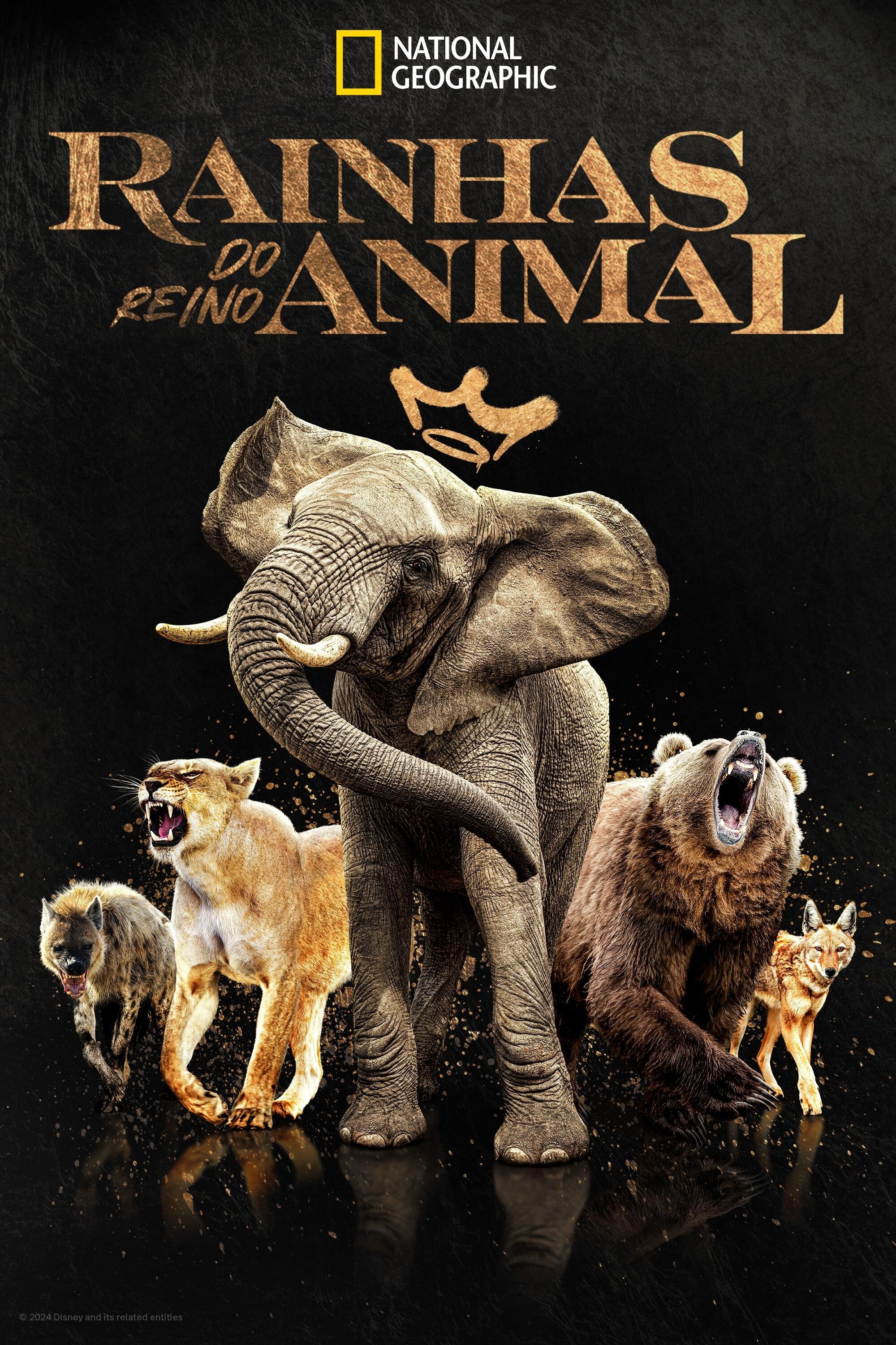 Poster de Rainhas do Reino Animal
