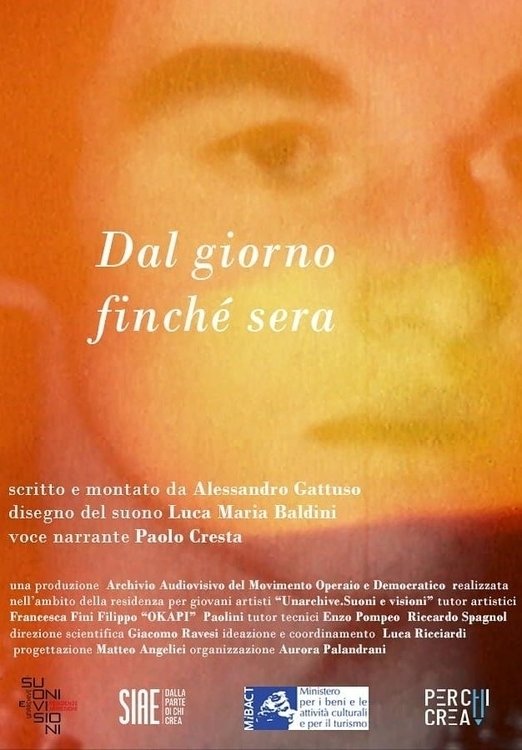 Poster de From Day While Nightfall