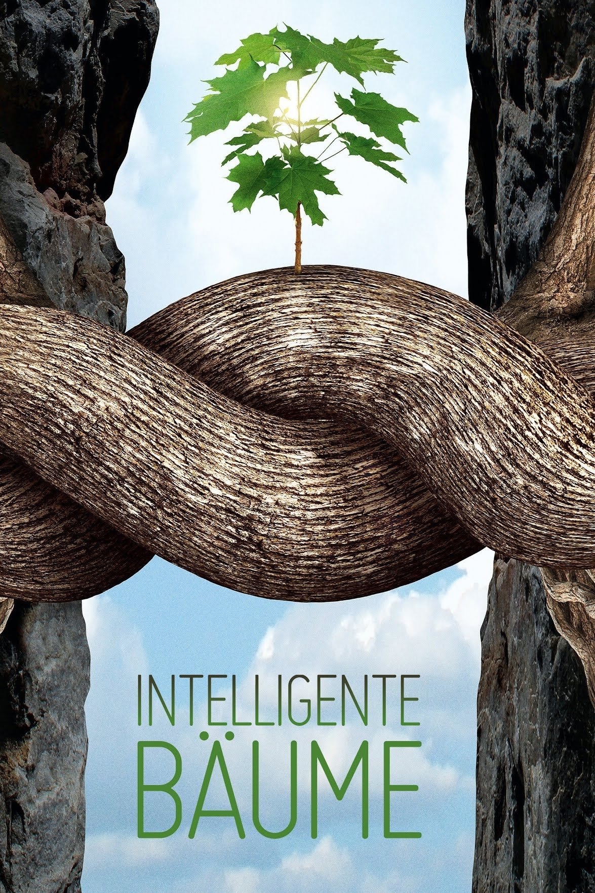Poster de Intelligente Bäume