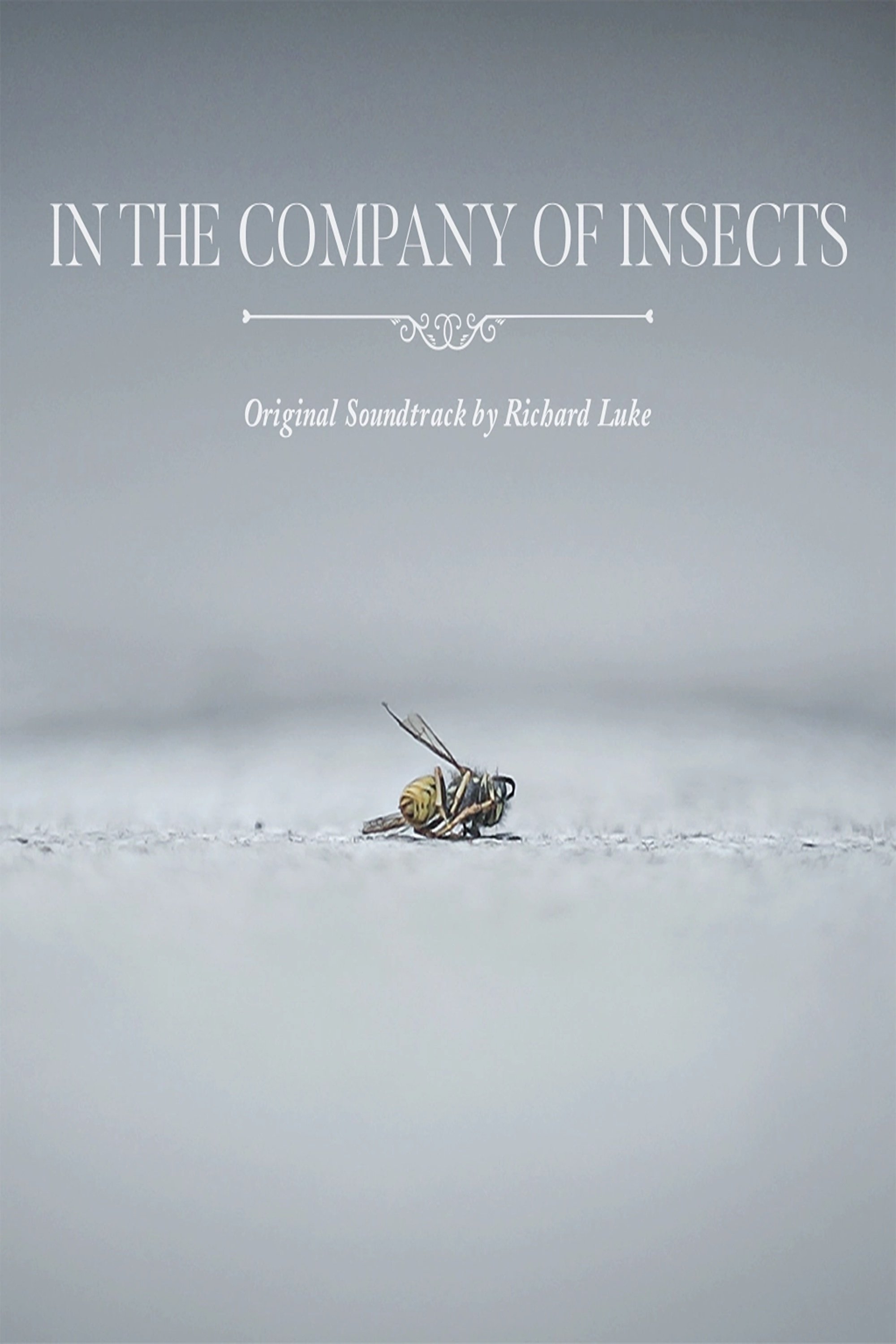 Poster de In the Company of Insects