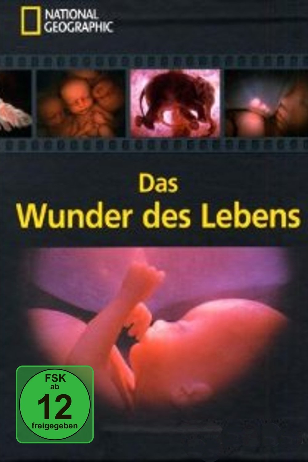 Poster de Das Wunder des Lebens