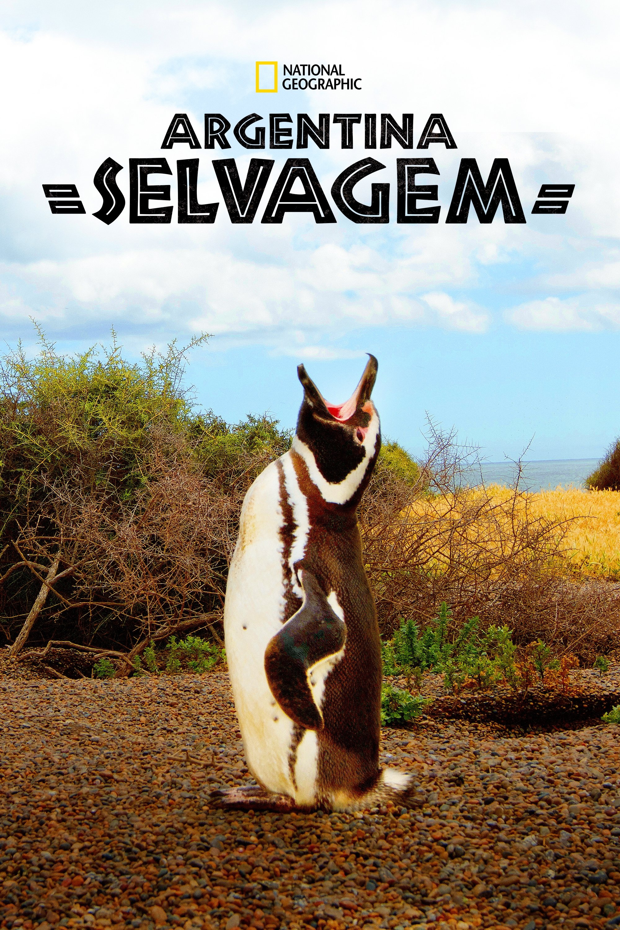 Poster de Argentina Selvagem