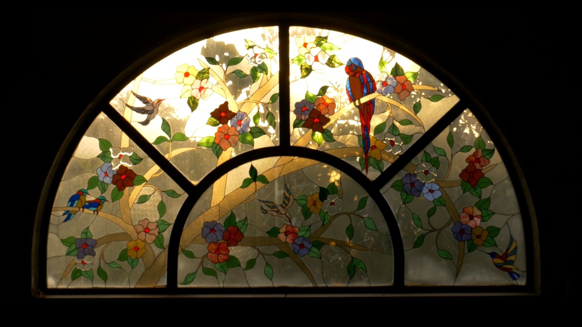 Backdrop image