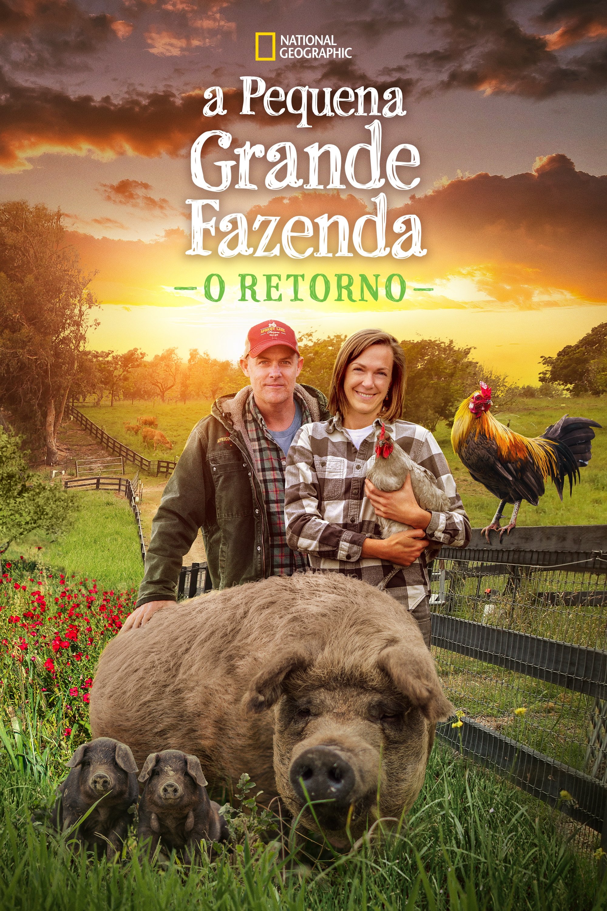 Poster de A Pequena Grande Fazenda: O Retorno